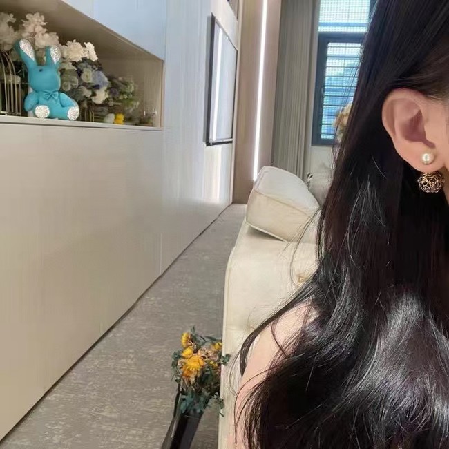 Dior Earring CE16310