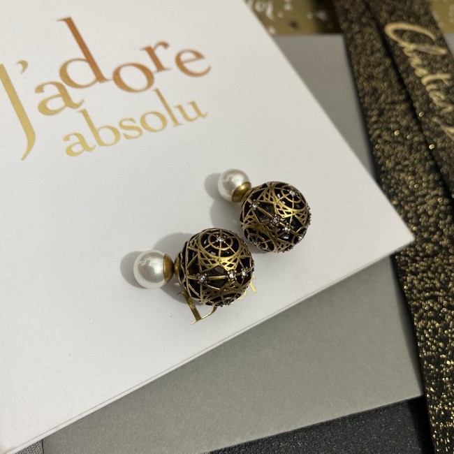 Dior Earring CE16310