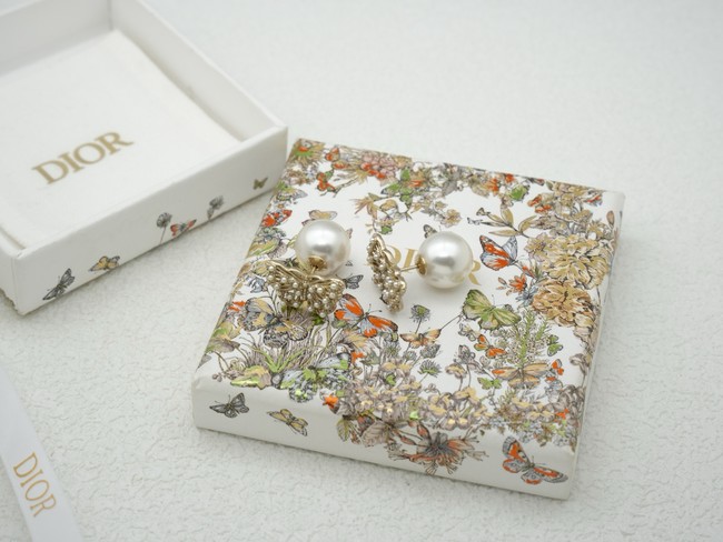 Dior Earring CE16653