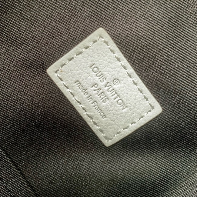 Louis Vuitton Discovery Backpack M14020-6