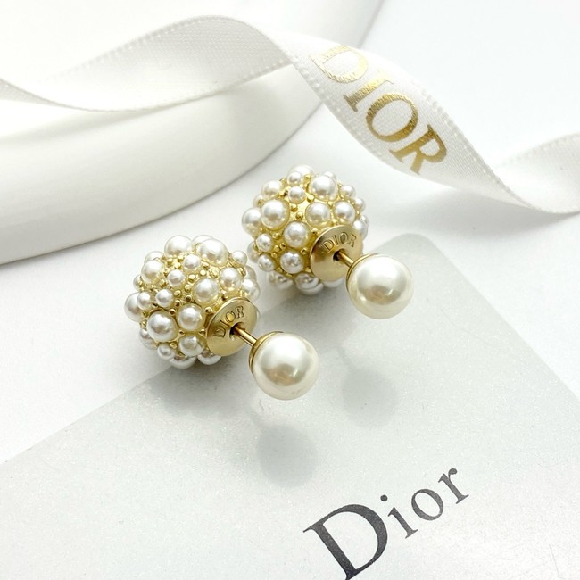 Dior Earring CE16841