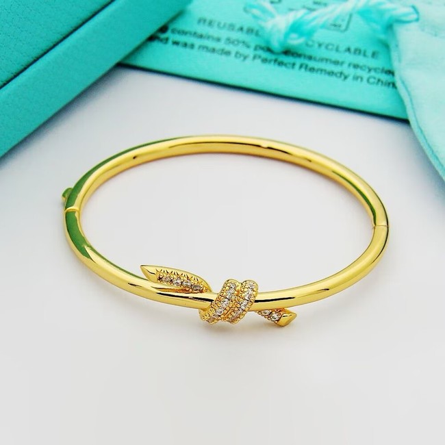 TIFFANY Bracelet CE16992