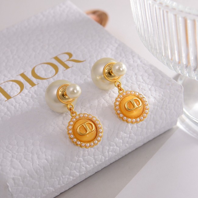 Dior Earrings CE80985