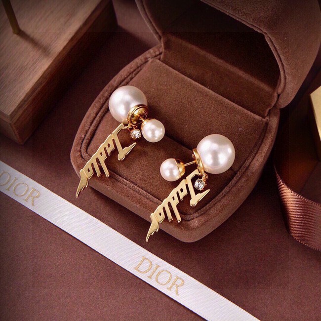 Dior Earrings CE80983
