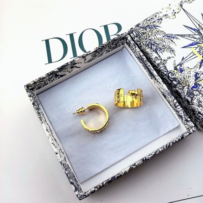 Dior Earring CE80999