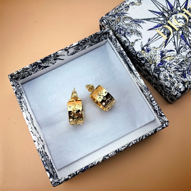 Dior Earring CE80999