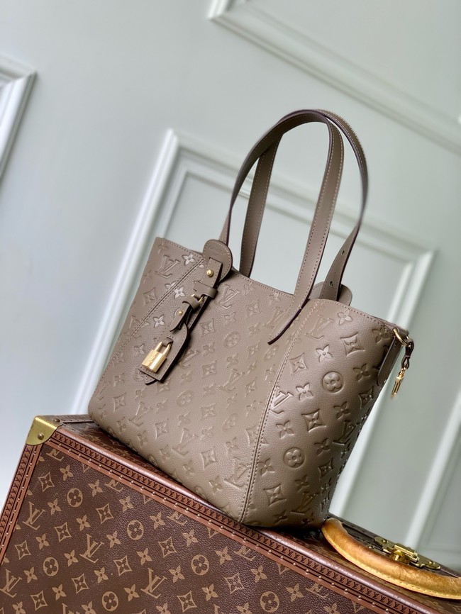 Louis Vuitton NEW All In One MM M25888 Smoke