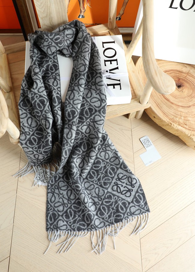 Loewe Cashmere Scarf 06381