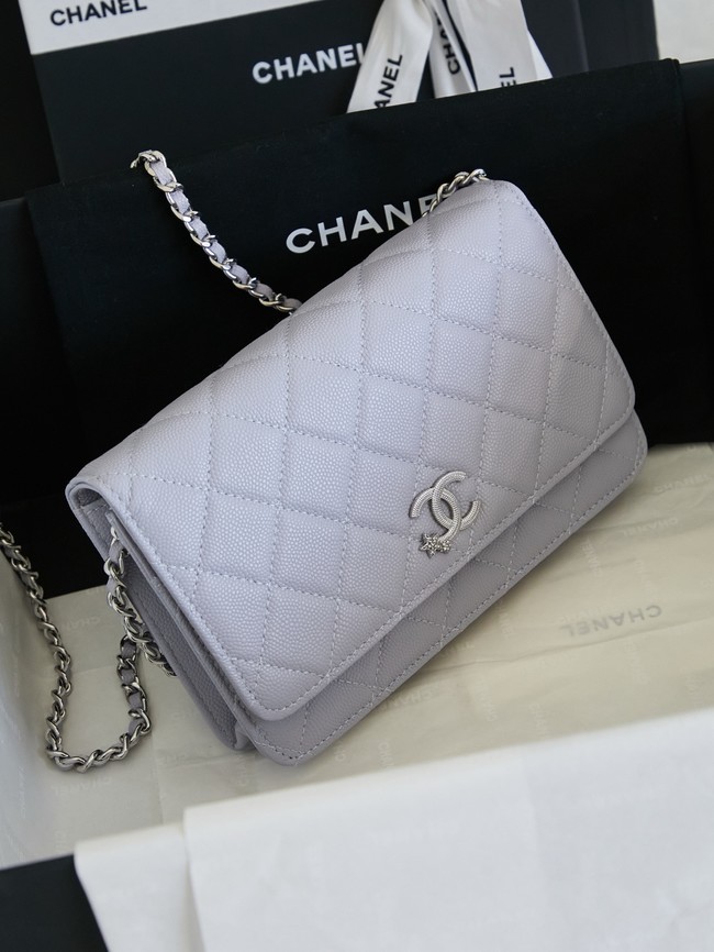 CHANEL Wallet On Chain AP3723 gray