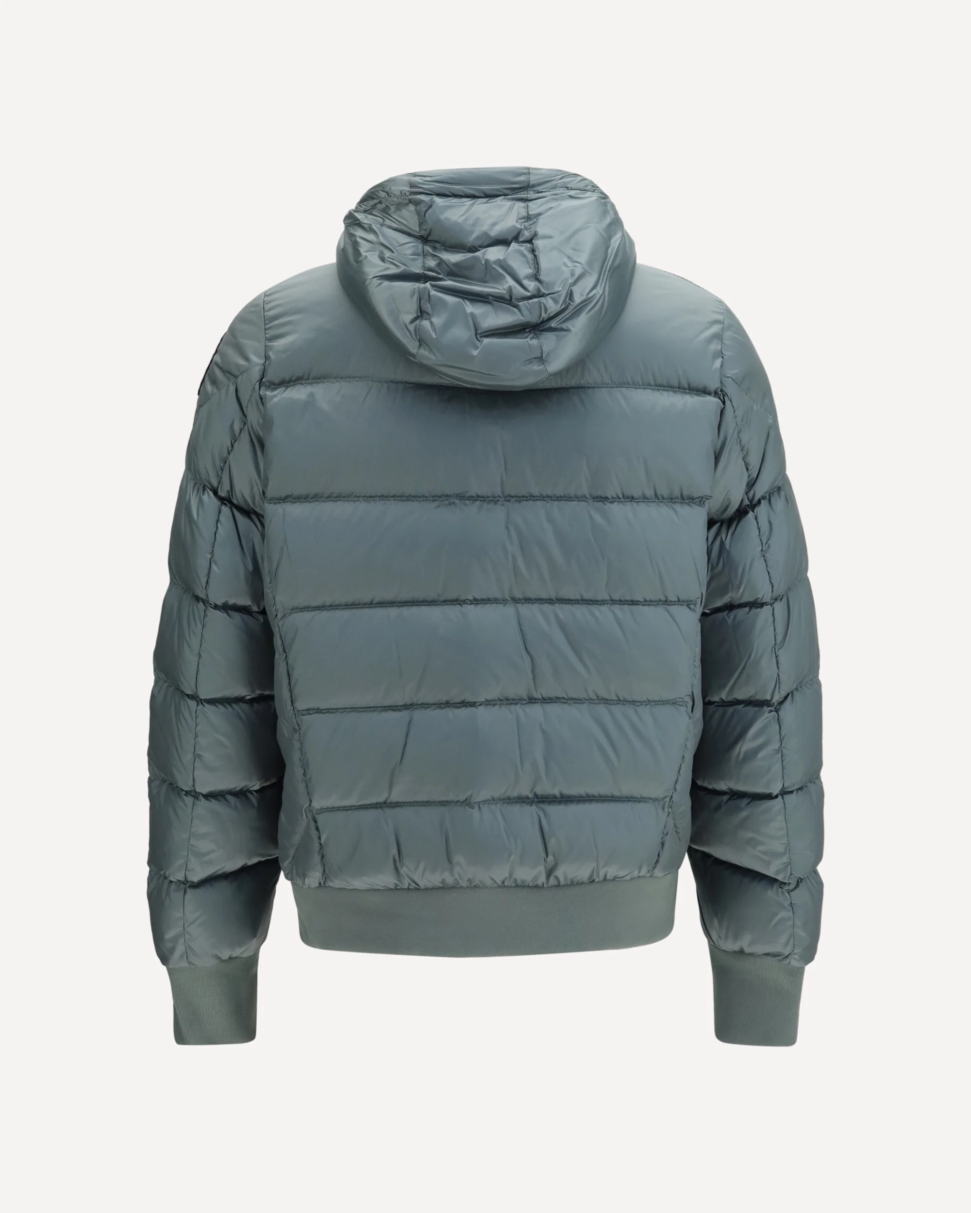 Puffer Jacket Pharrel with Hood - GREEN | Cheap Luxury Handbags Store,