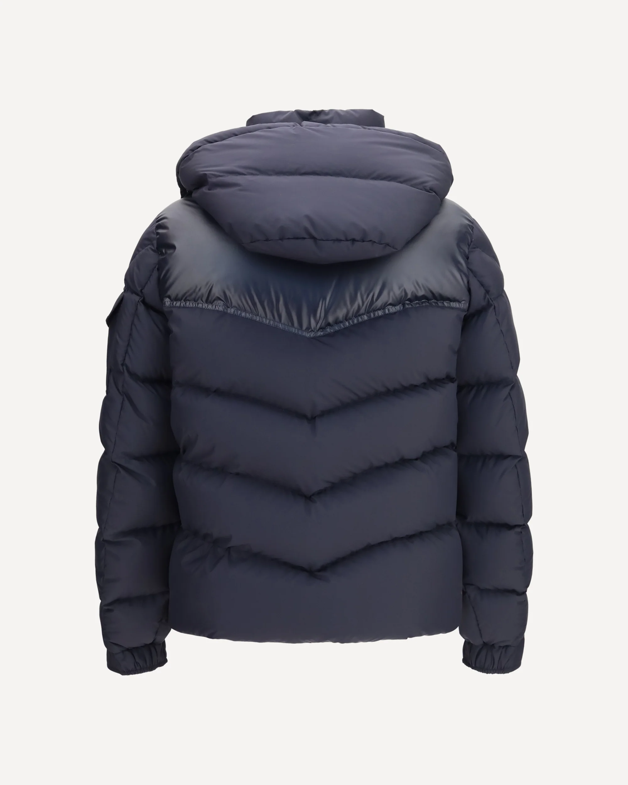 Ravelis padded Jacket - BLUE | Cheap Luxury Handbags Store,